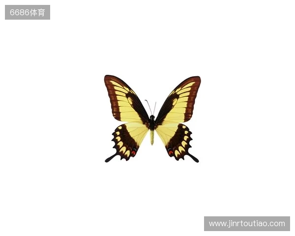 破茧成蝶：Legacy如何登顶南美、跻身世界顶尖行列